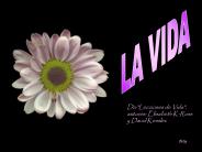 La Vida