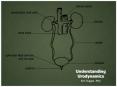Understanding Urodynamics PowerPoint PPT Presentation