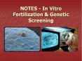 NOTES - In Vitro Fertilization PowerPoint PPT Presentation