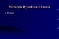 Microcytic Hypochromic Anemia PowerPoint PPT Presentation