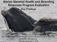 Marine Mammal Health and Stranding Response Program Evaluation PowerPoint PPT Presentation