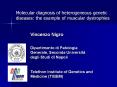 Molecular diagnosis of heterogeneous genetic diseases: the example of muscular dystrophies PowerPoint PPT Presentation