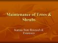 Maintenance of Trees PowerPoint PPT Presentation