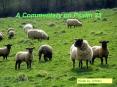 A Commentary on Psalm 23 PowerPoint PPT Presentation