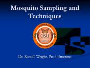 Mosquito Sampling and Techniques