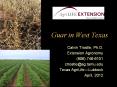 Guar in West Texas PowerPoint PPT Presentation