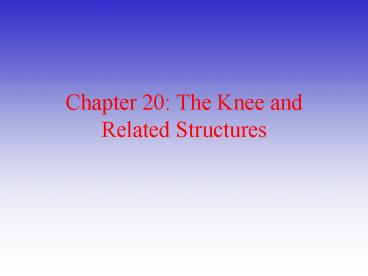 Chapter 20: The Knee and Related Structures