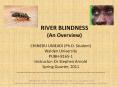 RIVER BLINDNESS (An Overview) PowerPoint PPT Presentation