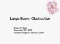 Large Bowel Obstruction PowerPoint PPT Presentation