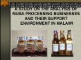A STUDY ON THE ANALYSIS OF MUSA PROCESSING BUSINESSES AND THEIR SUPPORT ENVIRONMENT IN MALAWI PowerPoint PPT Presentation