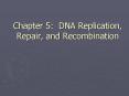 Chapter 5: DNA Replication, Repair, and Recombination PowerPoint PPT Presentation