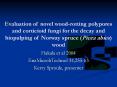 Evaluation of novel wood-rotting polypores and corticioid fungi for the decay and biopulping of Norway spruce (Picea abies) wood PowerPoint PPT Presentation
