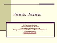 Parasitic Diseases