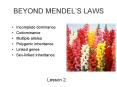 BEYOND MENDEL PowerPoint PPT Presentation