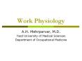 Work Physiology PowerPoint PPT Presentation