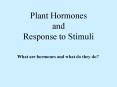 Plant Hormones and Response to Stimuli PowerPoint PPT Presentation