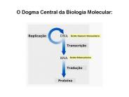 O Dogma Central da Biologia Molecular: