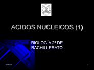 ACIDOS NUCLEICOS (1)