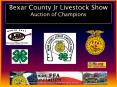 Bexar County Jr Livestock Show Auction of Champions PowerPoint PPT Presentation