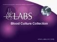 Blood Culture Collection PowerPoint PPT Presentation