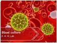 Blood culture PowerPoint PPT Presentation