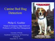 Canine Bed Bug Detection: