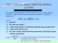 THE CAPITAL ASSET PRICING MODEL (CAPM) PowerPoint PPT Presentation