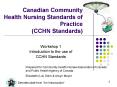 Canadian Community Health Nursing Standards of Practice (CCHN Standards) PowerPoint PPT Presentation