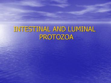 INTESTINAL AND LUMINAL PROTOZOA