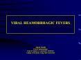 VIRAL HEAMORRHAGIC FEVERS    Ahmed Mandil Prof of Epidemiology Dept of Family PowerPoint PPT Presentation