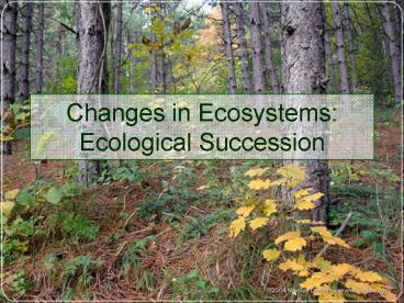 Changes in Ecosystems: Ecological Succession
