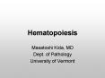Hematopoiesis PowerPoint PPT Presentation