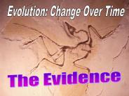 Evolution: Change Over Time