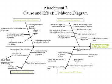 Attachment 3 Cause and Effect: Fishbone Diagram