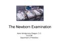 The Newborn Examination PowerPoint PPT Presentation