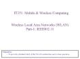 Wireless Local Area Networks (WLAN) PowerPoint PPT Presentation