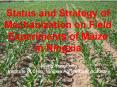 Status and Strategy of Mechanization on Field Experiments of Maize in Ningxia PowerPoint PPT Presentation