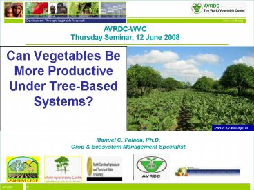 Can Vegetables Be More Productive Under Tree-Based Systems?