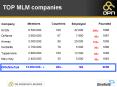 TOP MLM companies PowerPoint PPT Presentation