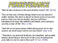 PERSEVERANCE PowerPoint PPT Presentation
