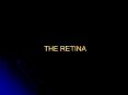 THE RETINA PowerPoint PPT Presentation