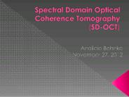 Spectral Domain Optical Coherence Tomography (SD-OCT)