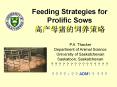 Feeding Strategies for Prolific Sows ????????? PowerPoint PPT Presentation