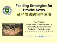 Feeding Strategies for Prolific Sows ?????????