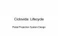 Ciclovida: Lifecycle PowerPoint PPT Presentation