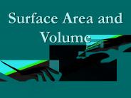 Surface Area and Volume
