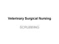 Veterinary Surgical Nursing PowerPoint PPT Presentation