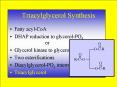 Triacylglycerol Synthesis PowerPoint PPT Presentation