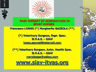 PAIN THERAPY BY ACUPUNCTURE IN SPORT HORSES