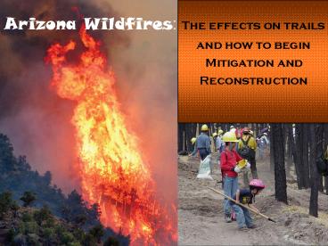 Arizona Wildfires: The effects on trails